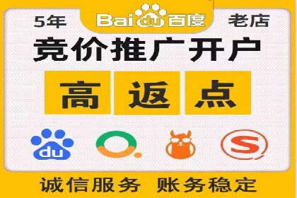 百度SEM广告策略在电商行业的成功案例